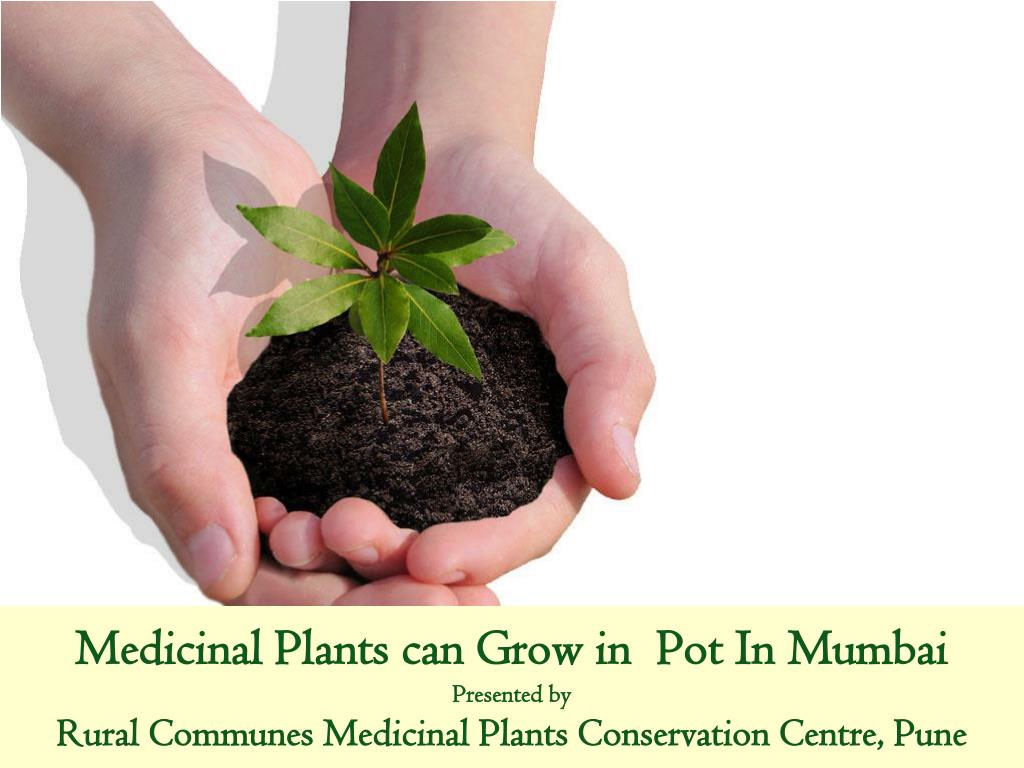 PPT Need of Conservation & Cultivation of Medicinal Plants by