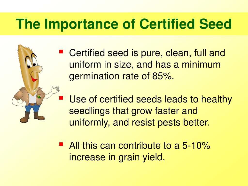 PPT Seed Quality PowerPoint Presentation, free download ID3002824