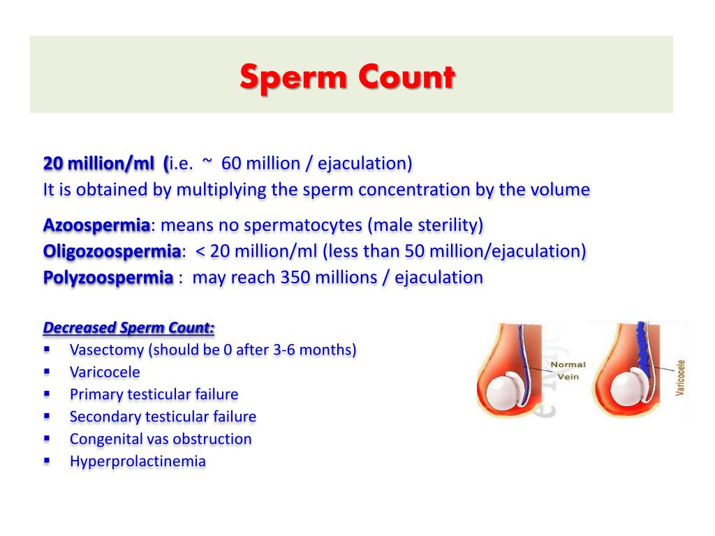 PPT Semen Analysis PowerPoint Presentation, free download ID3003130