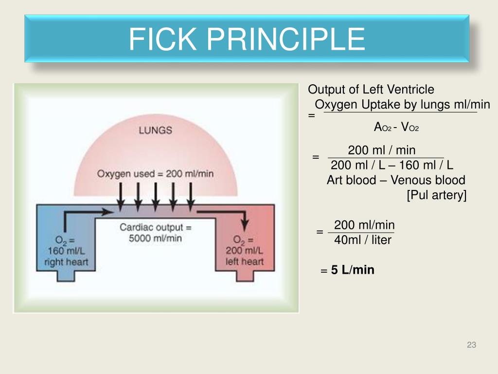 PPT Cardiac Output and Venous Return PowerPoint Presentation, free