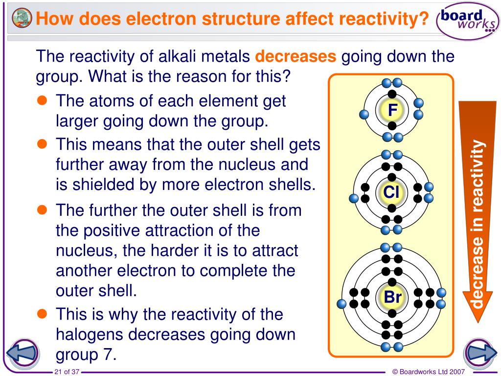 PPT Group 7 the halogens PowerPoint Presentation, free download