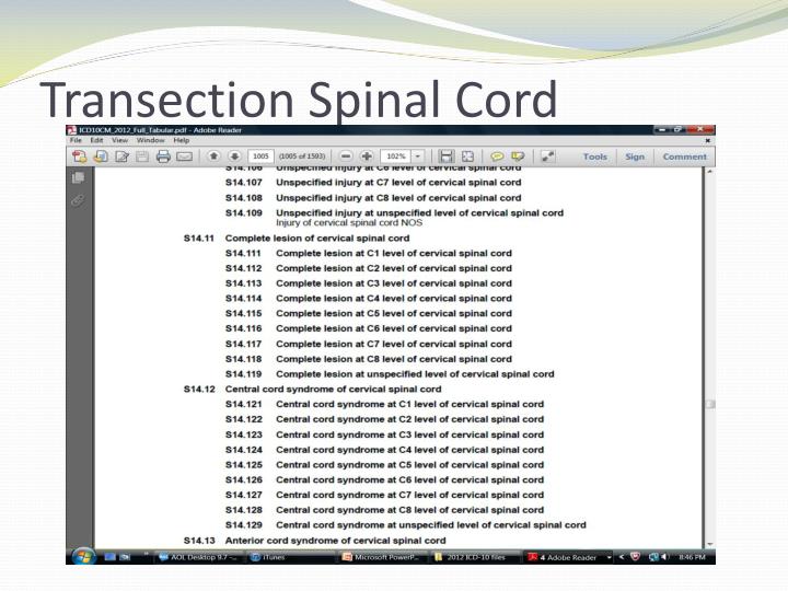 PPT Baby, Don’t Hurt Me Challenges in ICD10 Coding PowerPoint Presentation ID3009143