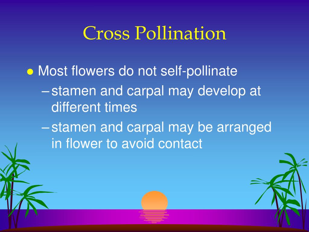 PPT Plantae PowerPoint Presentation, free download ID3011264