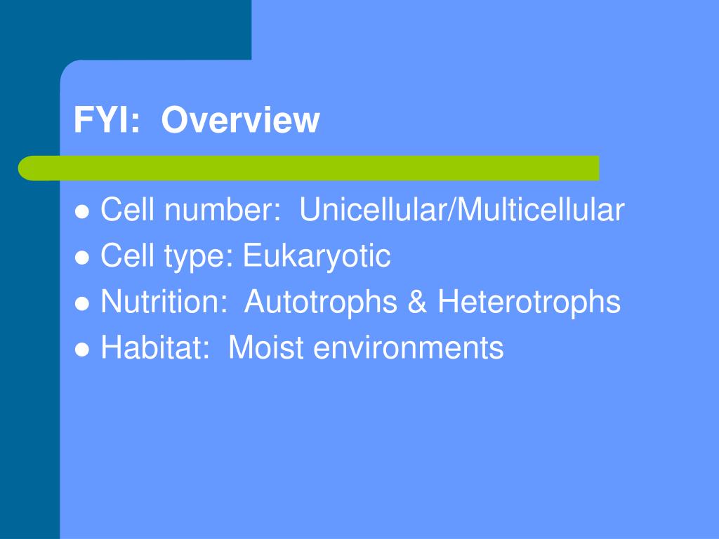 PPT KINGDOM PROTISTA PowerPoint Presentation, free download ID3012052