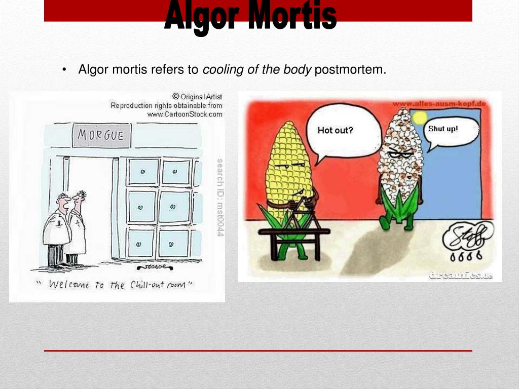 PPT POST MORTEM INTERVAL PowerPoint Presentation, free download ID