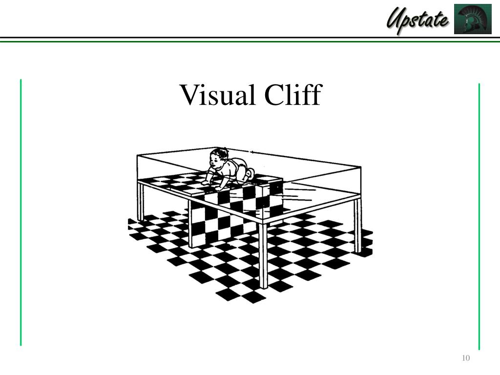 PPT Chapter 6 Sensation and Perception PowerPoint Presentation, free