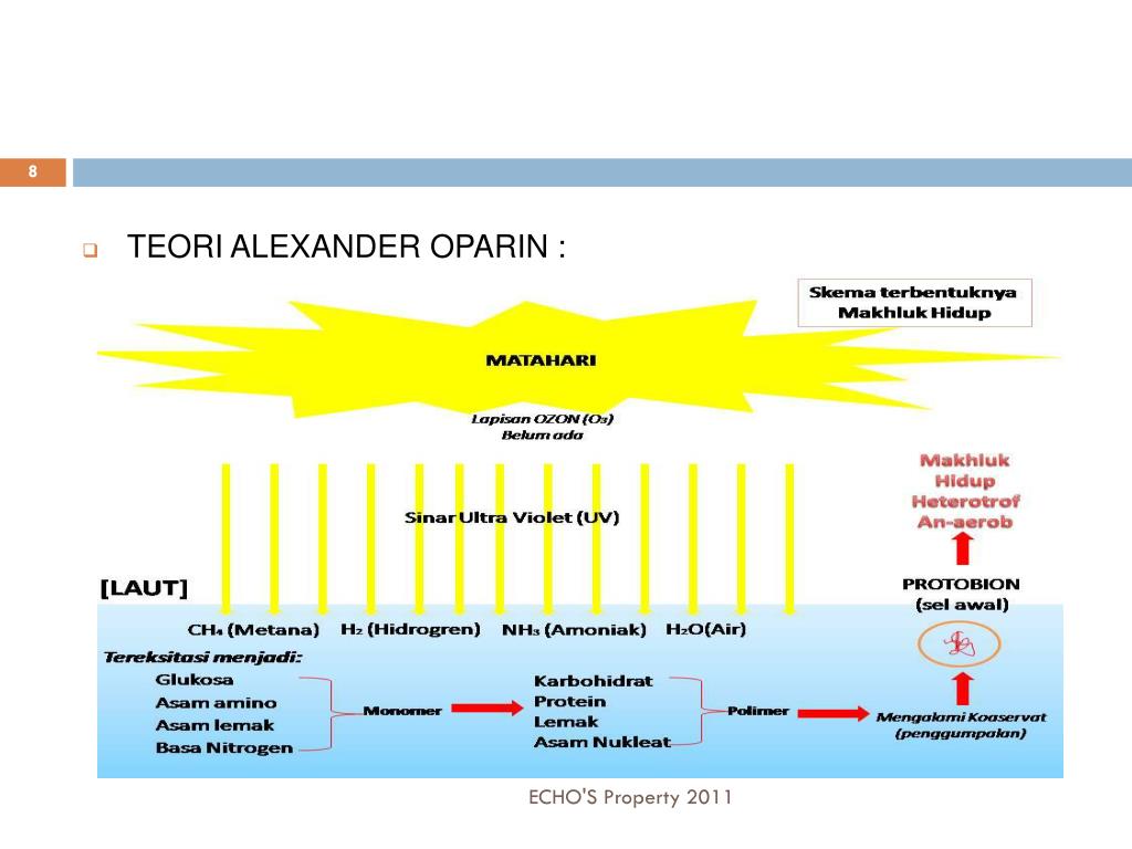 PPT EVOLUSI PowerPoint Presentation, free download ID