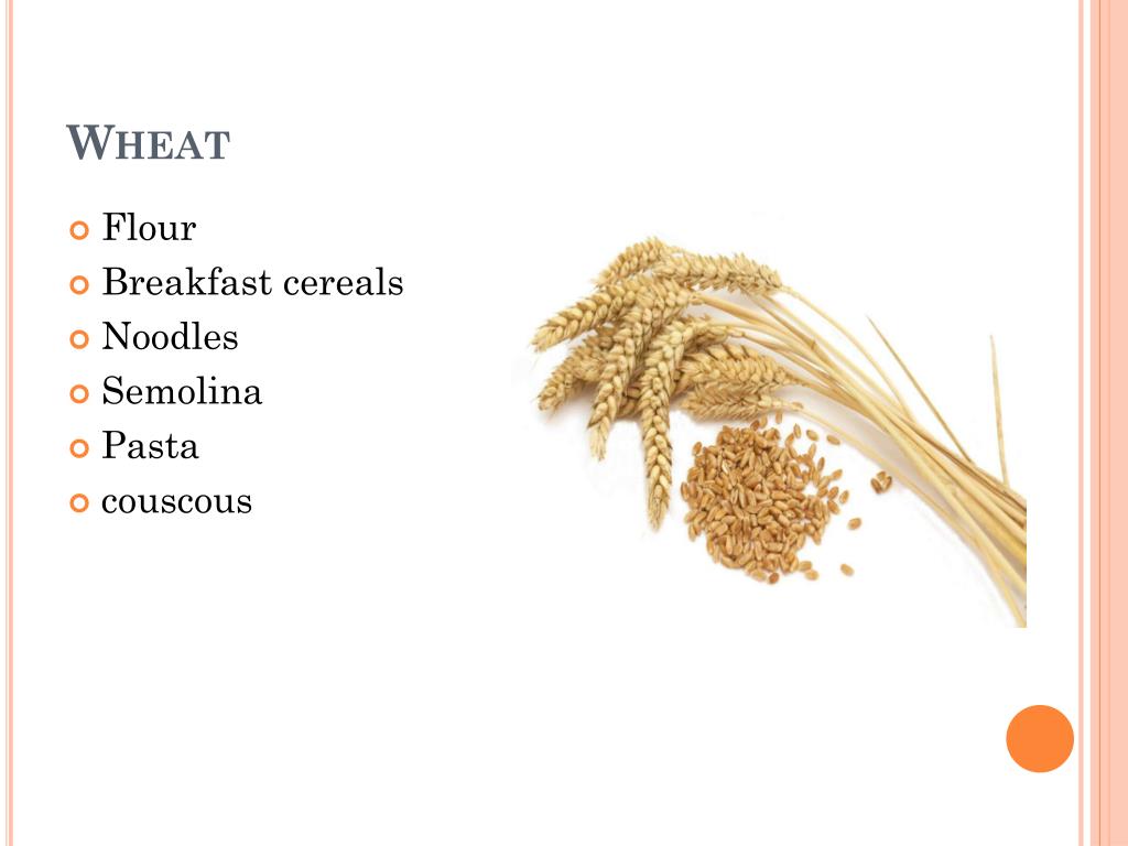 PPT Cereals PowerPoint Presentation, free download ID3018604