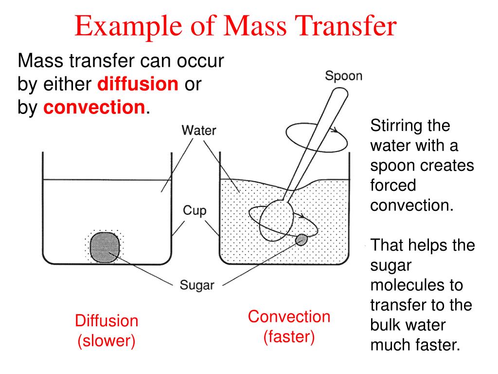 PPT PM3125 Lectures 7 to 9 PowerPoint Presentation, free download ID3018828