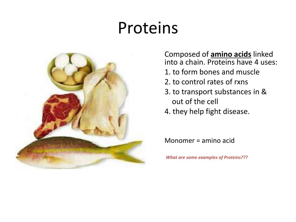PPT There are 4 Groups of Organic Compounds Found in Living Things