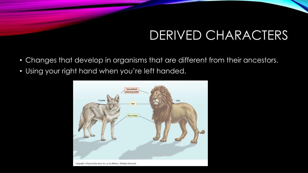 PPT Taxonomy PowerPoint Presentation, free download ID3021263