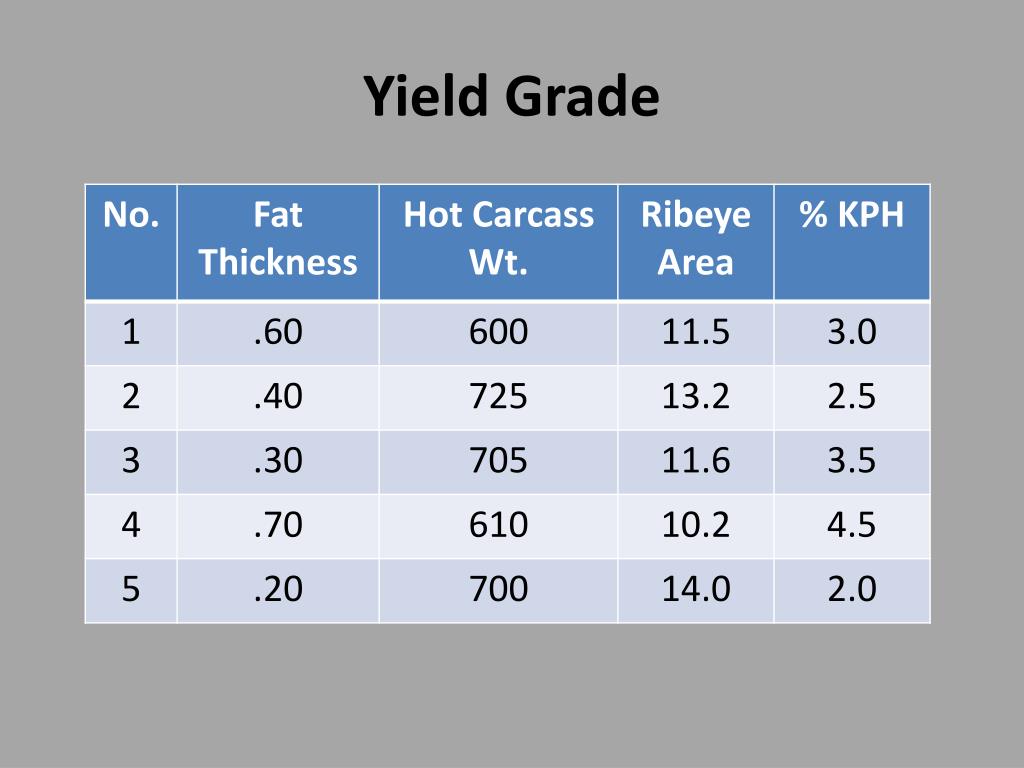 PPT Tennessee FFA Meat Evaluation and Technology CDE PowerPoint