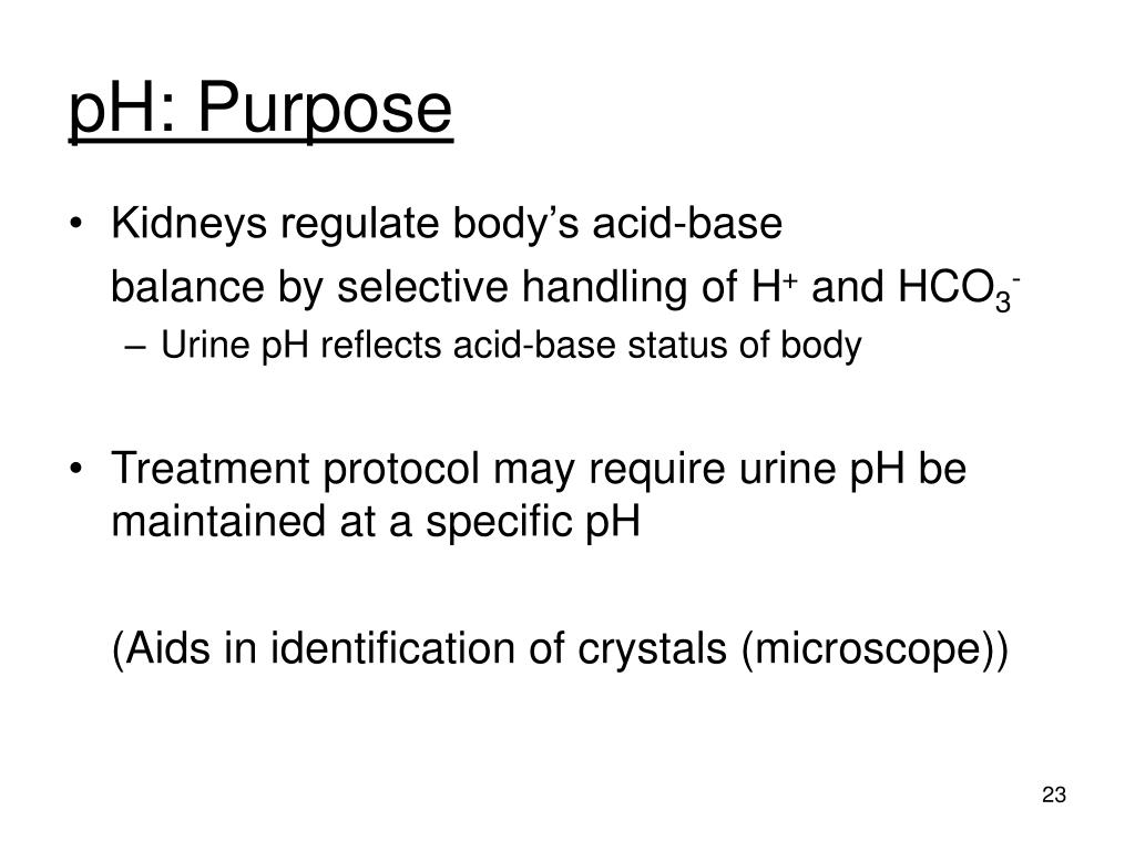 PPT Chemical Examination of Urine PowerPoint Presentation, free