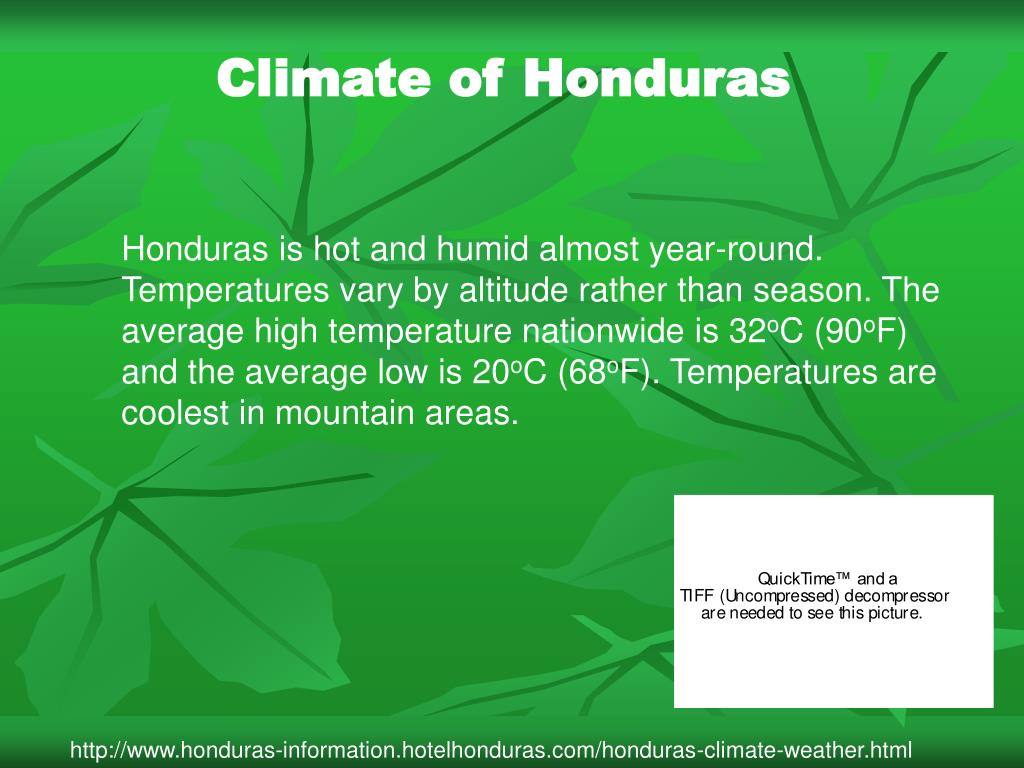 PPT Climate of Honduras PowerPoint Presentation, free download ID