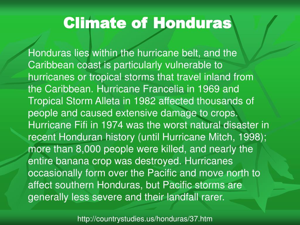 PPT Climate of Honduras PowerPoint Presentation, free download ID