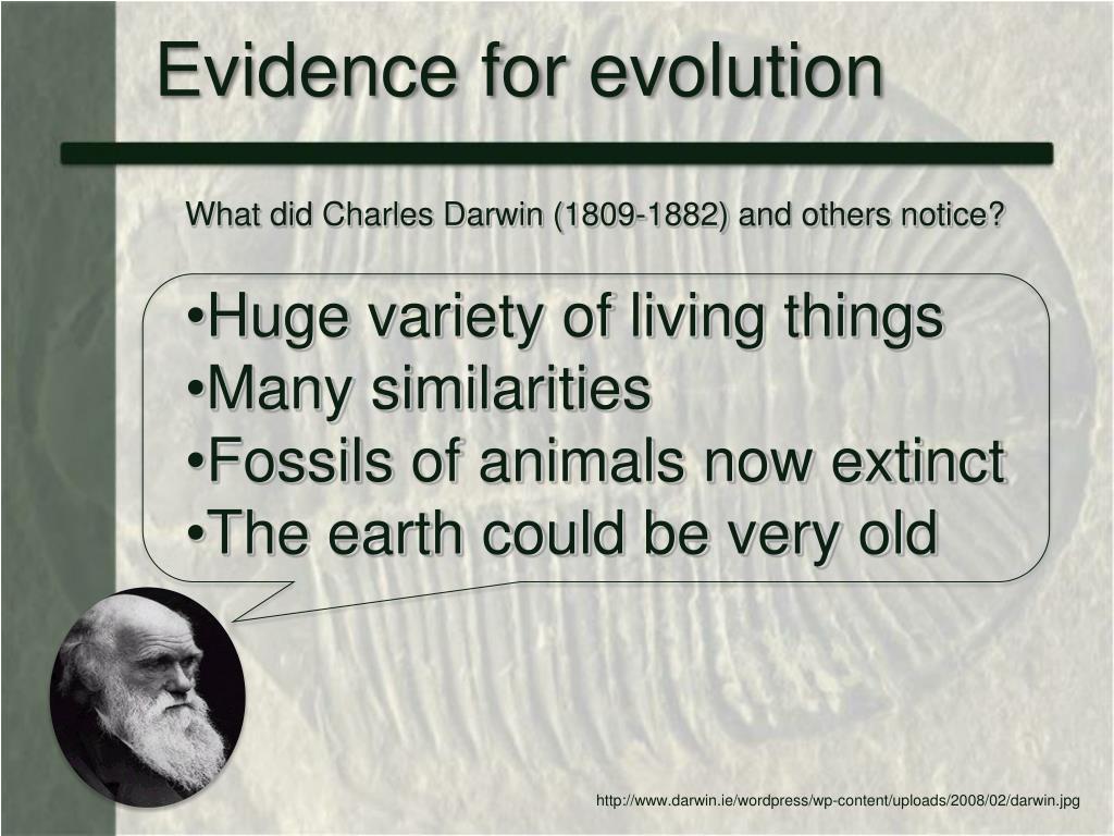 PPT Evidence for evolution PowerPoint Presentation, free download ID3027950
