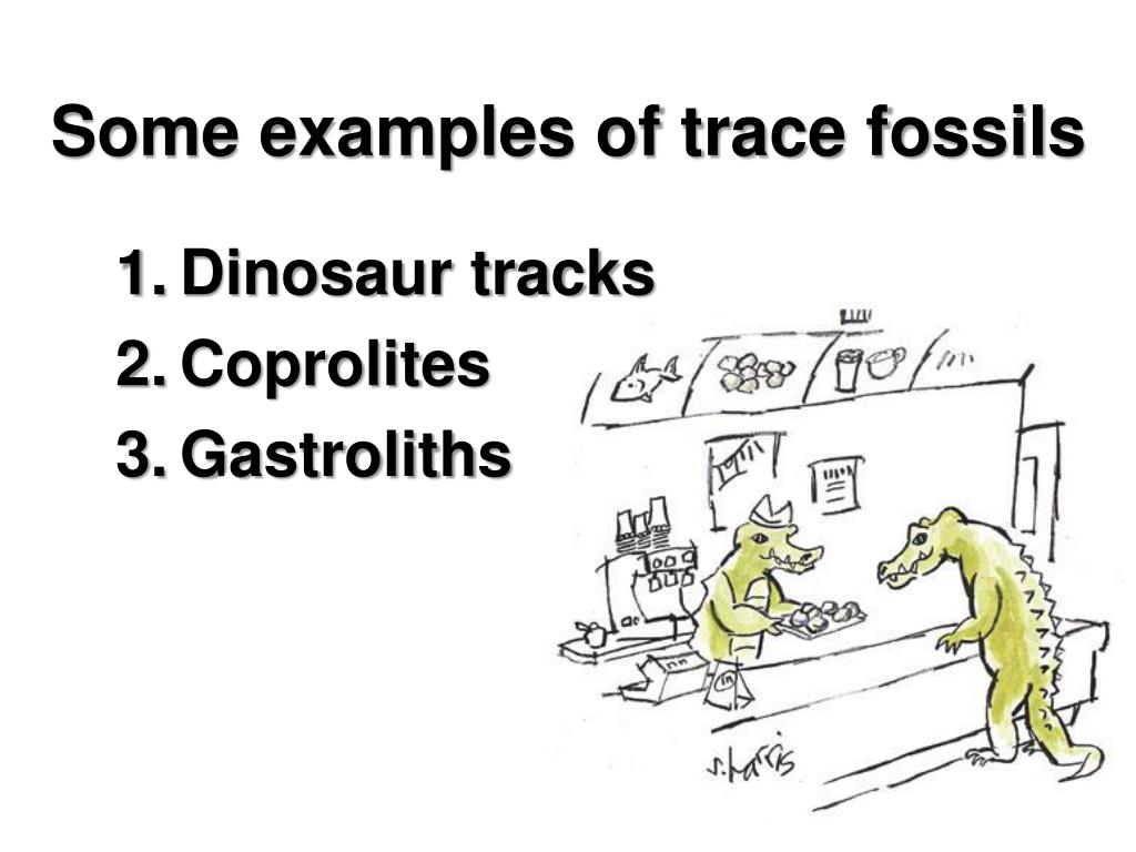 PPT Ch. 21 Sec. 4 PowerPoint Presentation, free download ID3027962