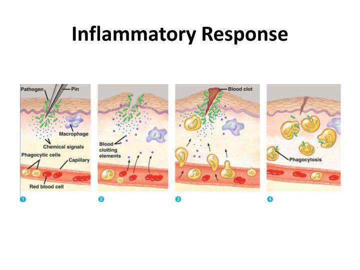 PPT Lewis Triple Response PowerPoint Presentation ID3028112