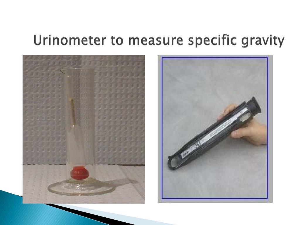 PPT Investigations PowerPoint Presentation, free download ID3028277