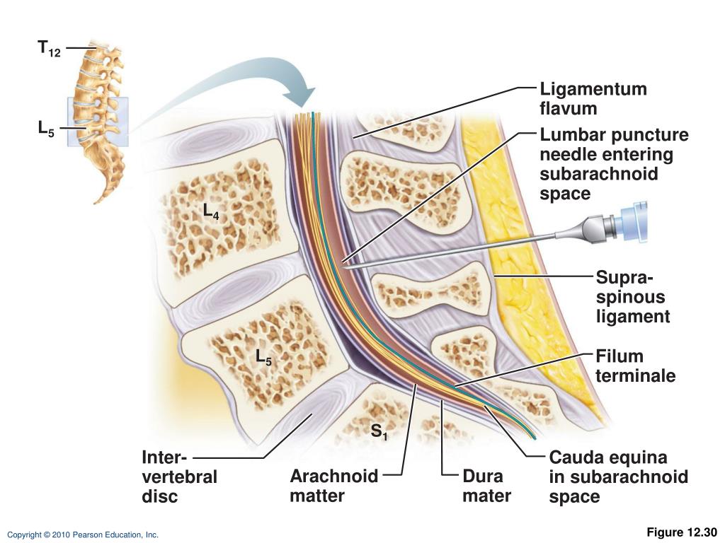 PPT 12 PowerPoint Presentation, free download ID3030711