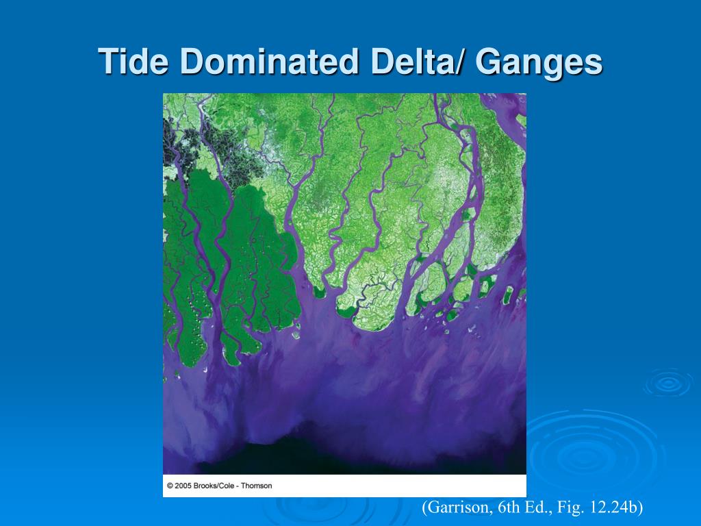 PPT Coasts Beaches and Shoreline Processes PowerPoint