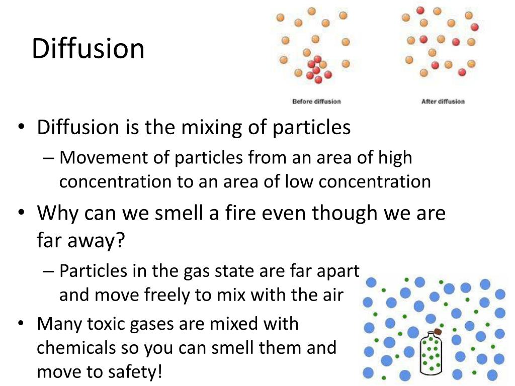 PPT Behavior of Liquids and Gases Diffusion and Pressure PowerPoint