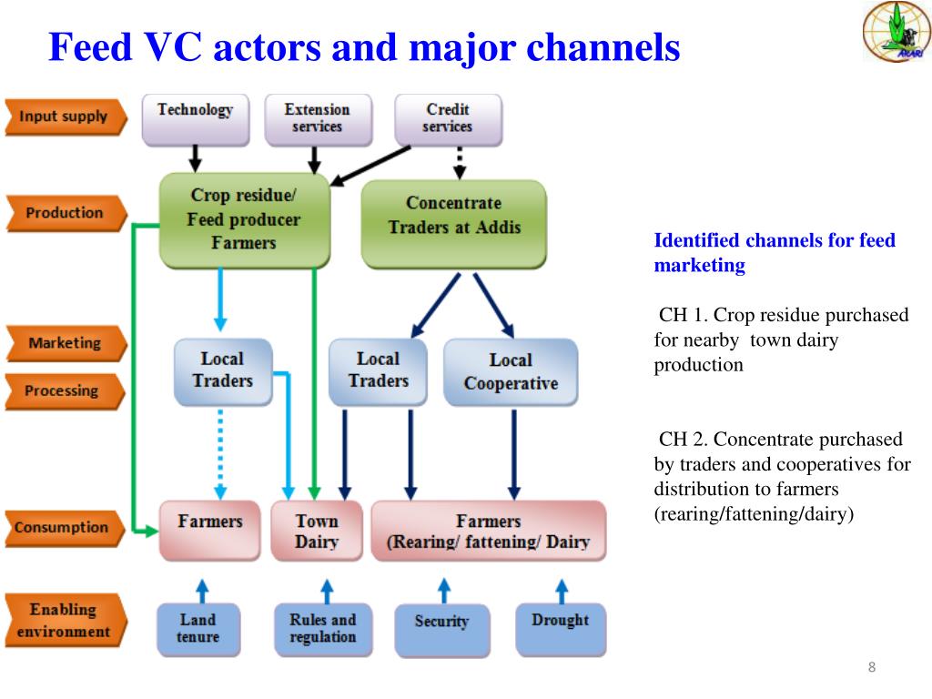PPT Sheep and feed value chain analysis in the central highlands of