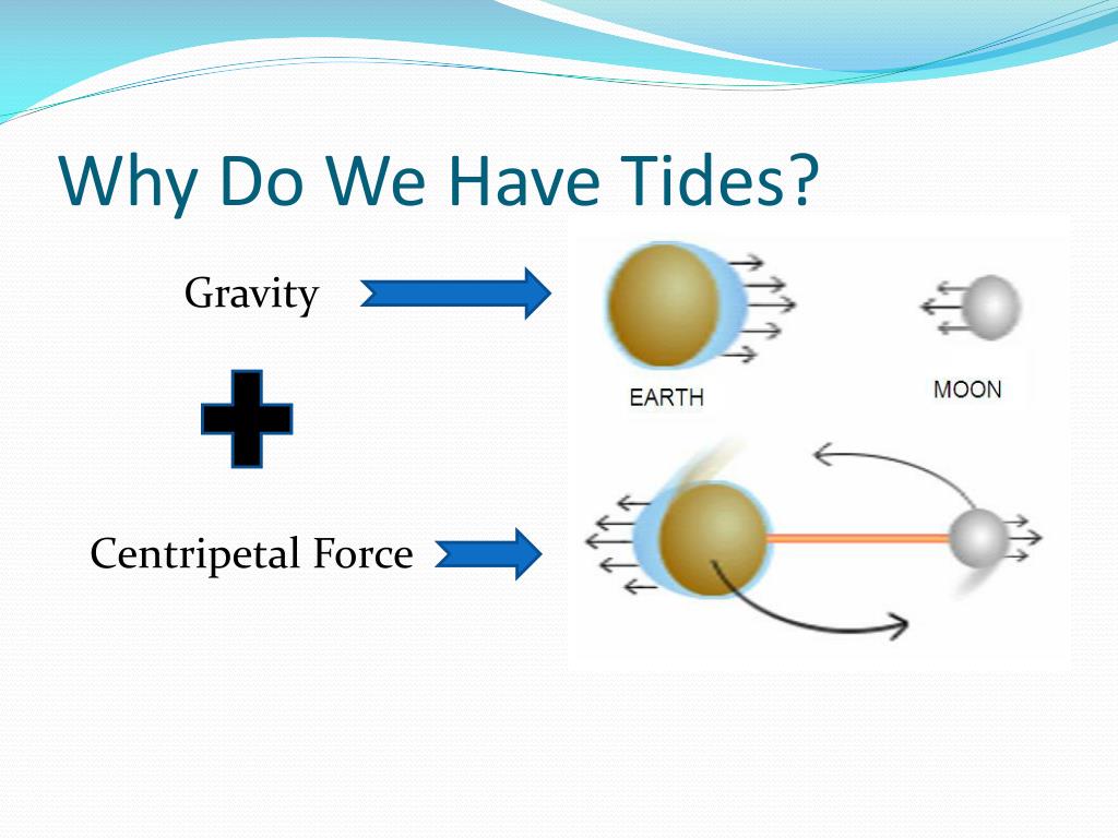 PPT Gravity and Tides PowerPoint Presentation, free download ID3035157