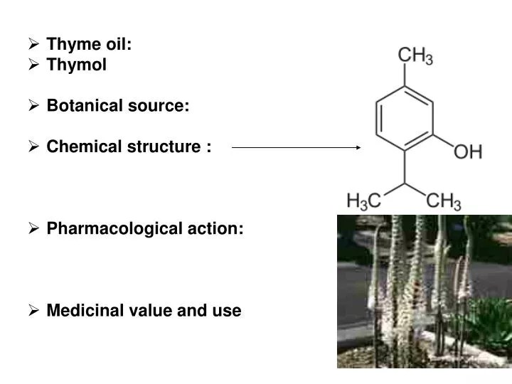 PPT Thyme oil Thymol Botanical source Chemical structure