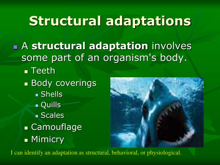 PPT Adaptations PowerPoint Presentation ID3036734