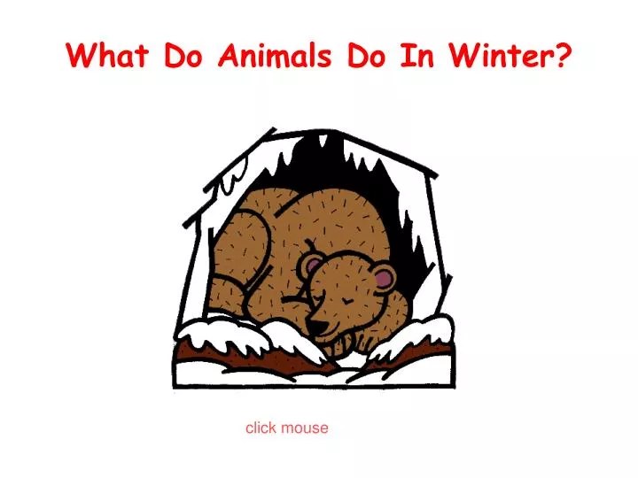 PPT What Do Animals Do In Winter? PowerPoint Presentation, free