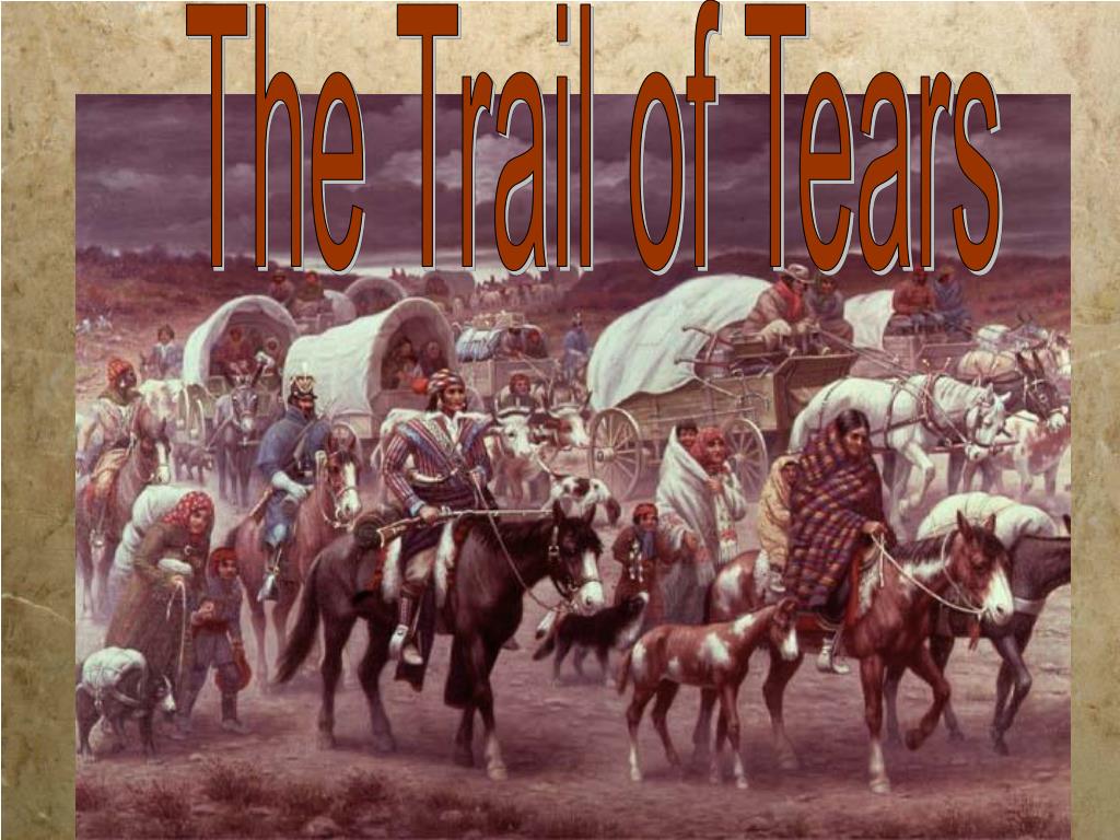 PPT The Trail of Tears PowerPoint Presentation, free download ID