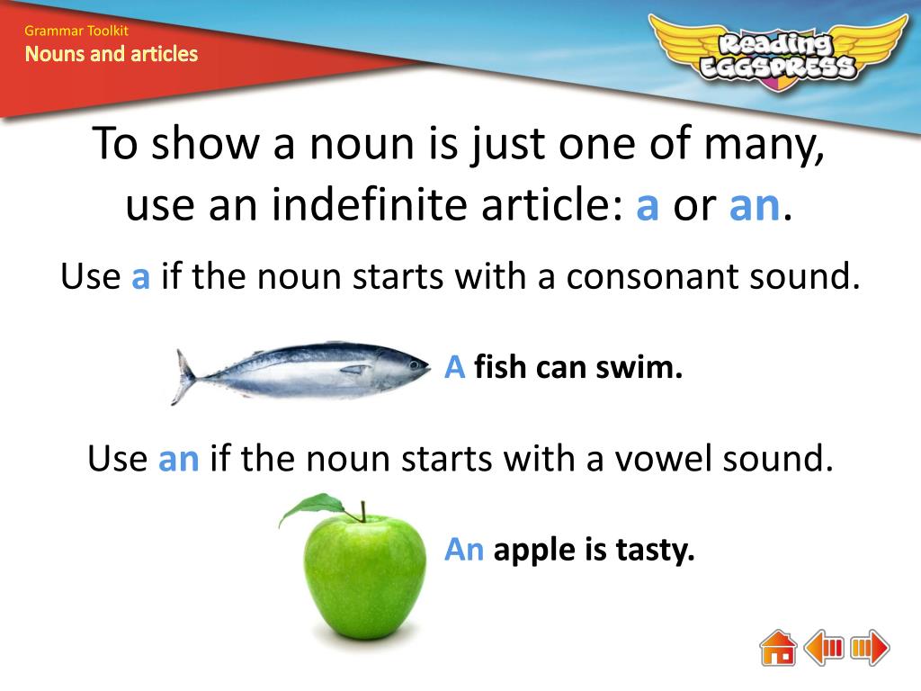 PPT How do nouns and articles go together? PowerPoint Presentation, free download ID3041139