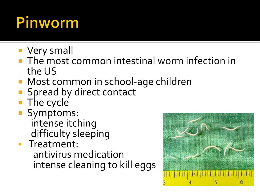 PPT Intestinal Parasites PowerPoint Presentation, free download ID
