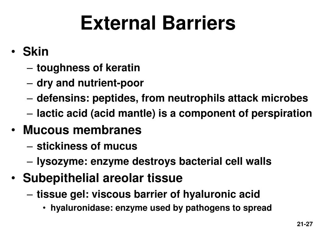 PPT Chapter 21 Lymphatic and Immune Systems PowerPoint Presentation