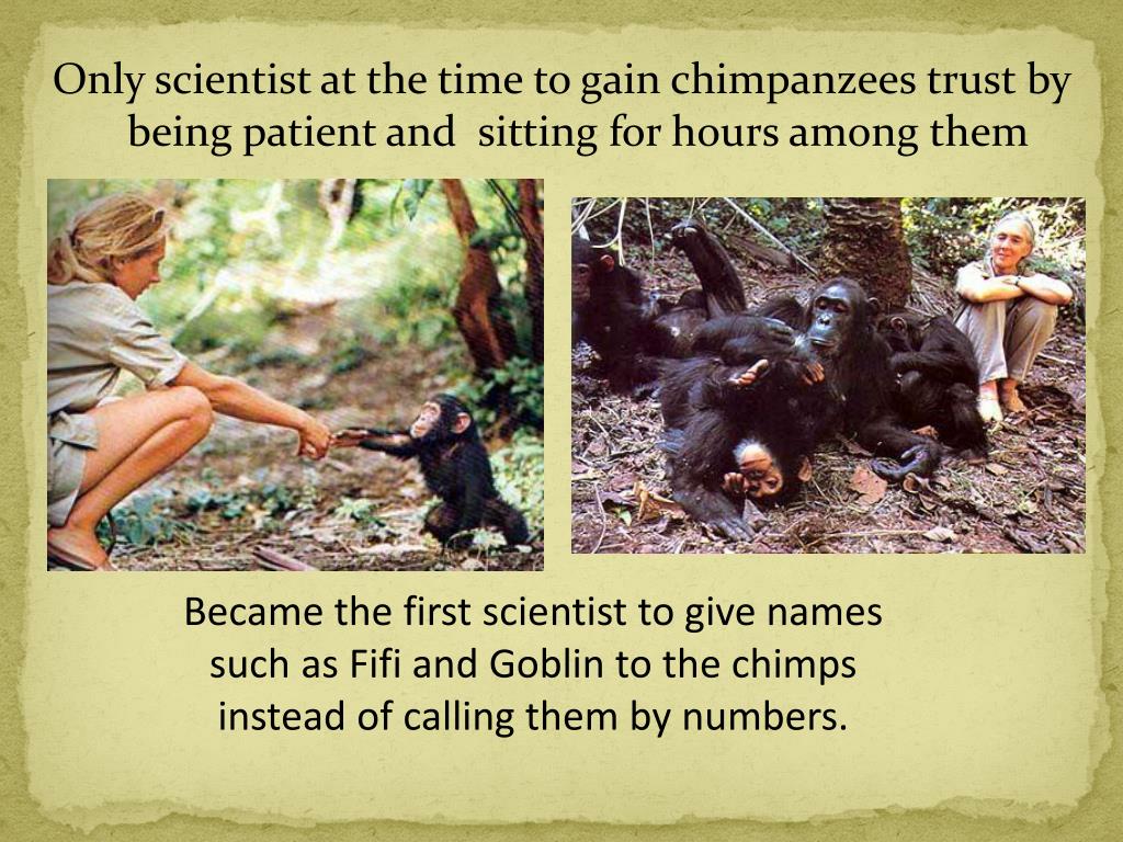 The chimpanzee children of Gombe : 50 years with Jane Goodall...