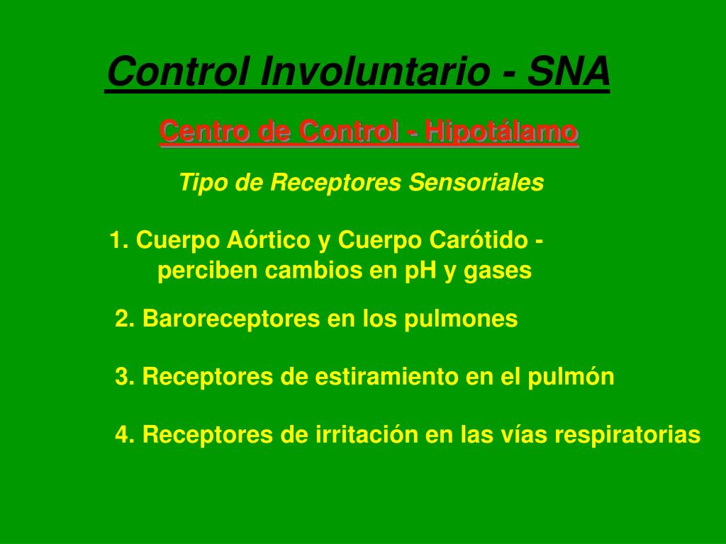 PPT Sistema Respiratorio PowerPoint Presentation, free