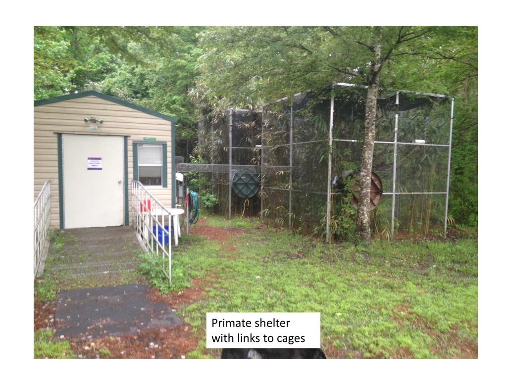 PPT ZOX0114 PowerPoint Presentation, free download ID3050337