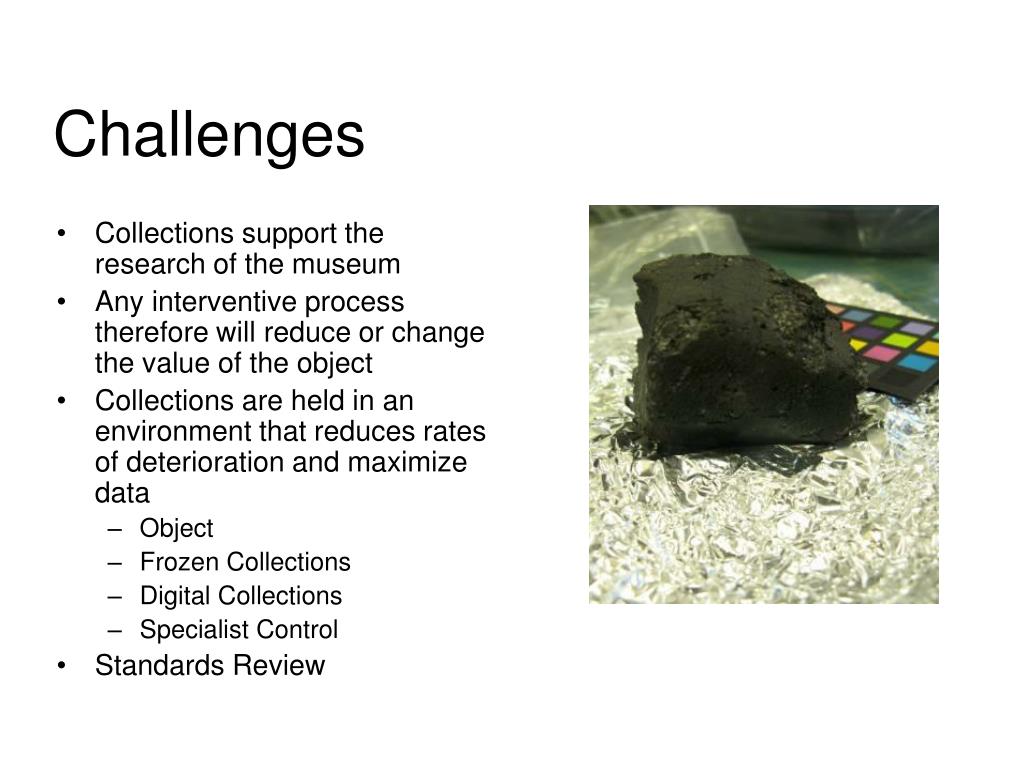 PPT The Natural History Museum Natural History collections, their