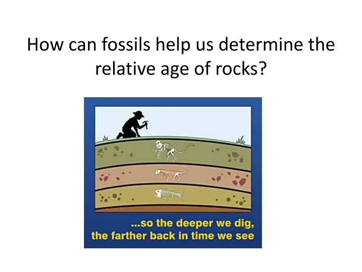 PPT Rocks, Rocks, and more Rocks Sedimentary PowerPoint
