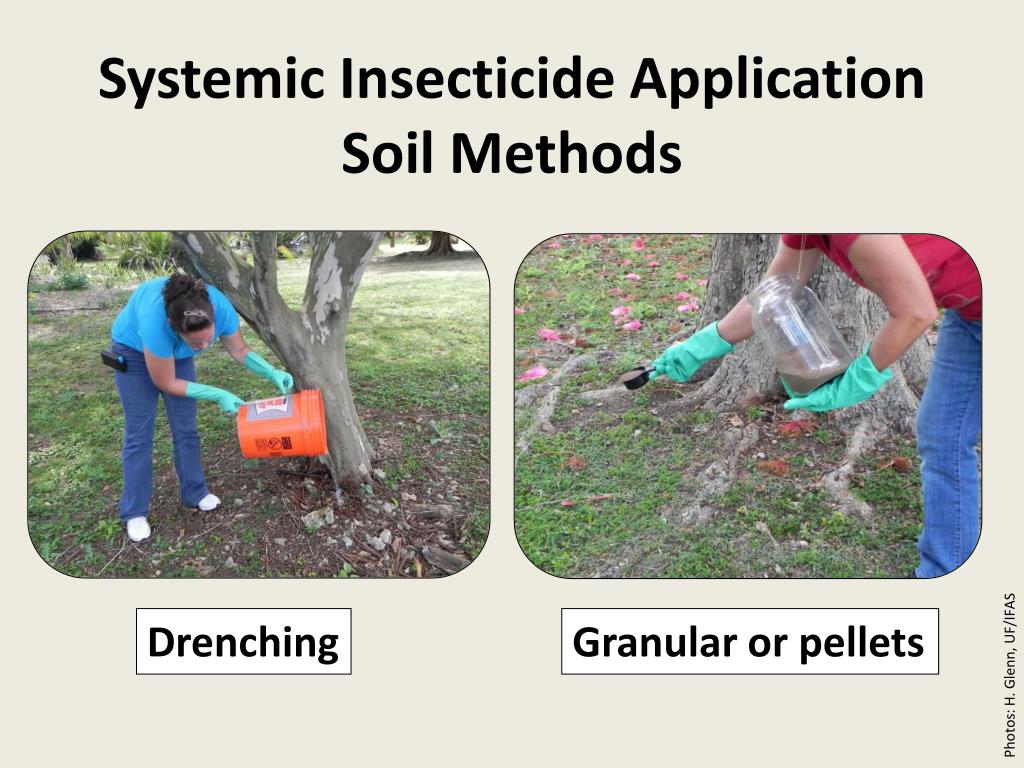 PPT Whitefly Management in the Landscape Chemical Control PowerPoint