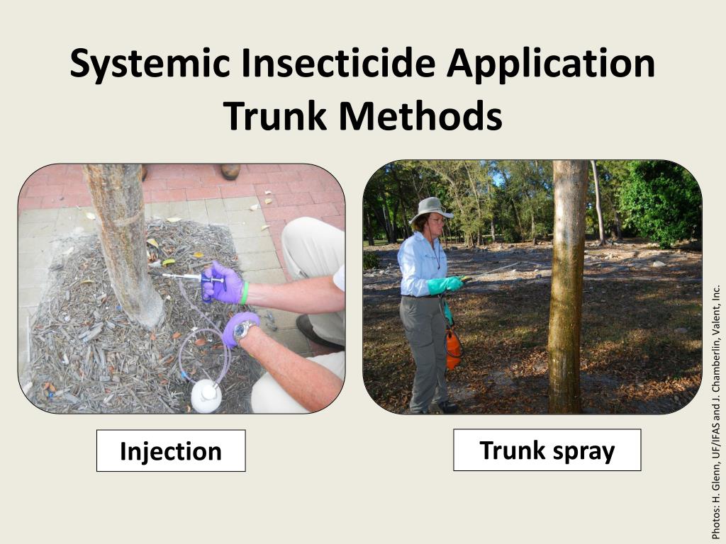 PPT Whitefly Management in the Landscape Chemical Control PowerPoint