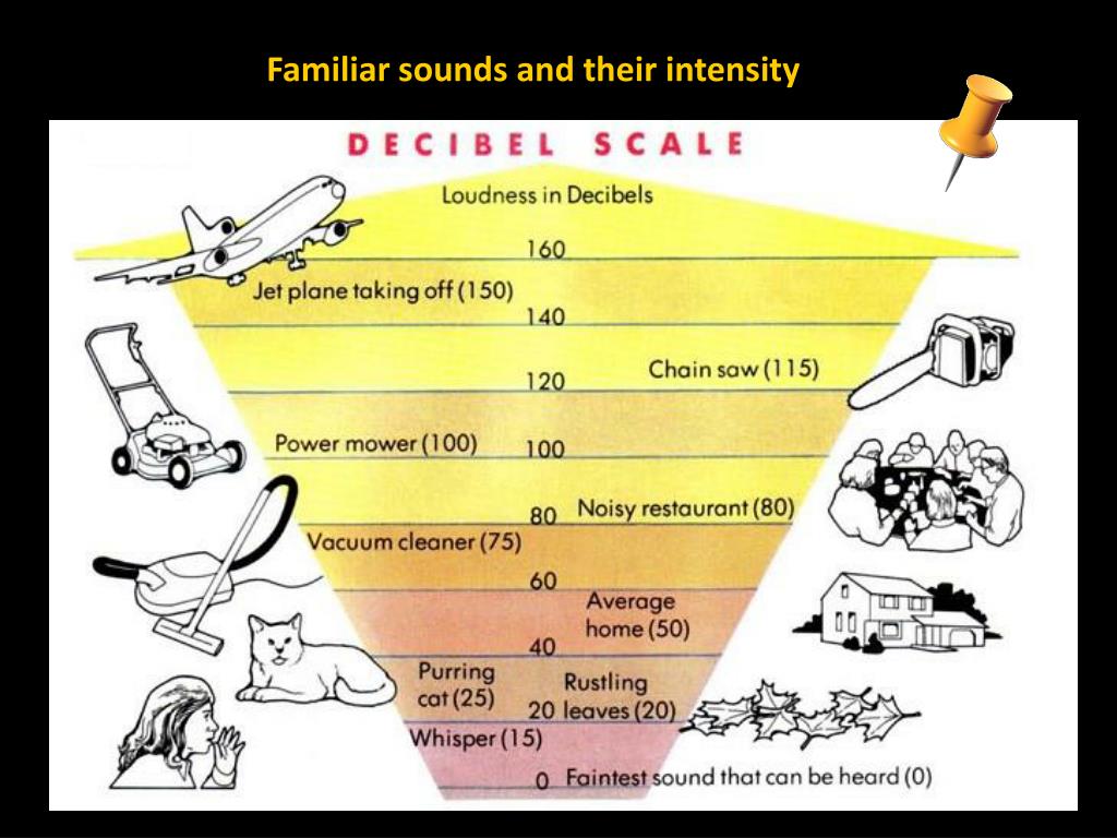 PPT Pitch, Loudness, and Quality of Sound PowerPoint Presentation