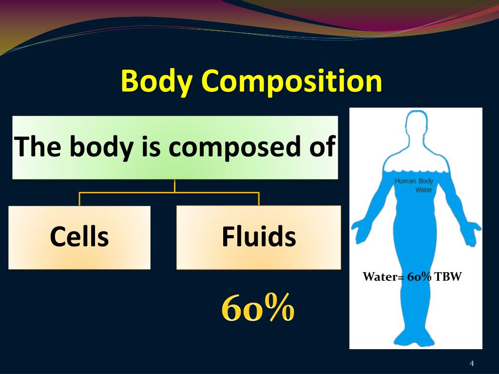 PPT Body Fluids Homeostasis & Membrane Transport PowerPoint