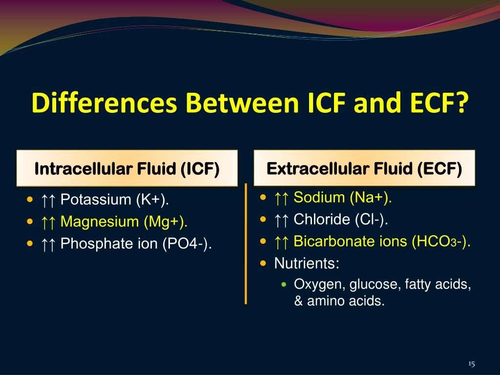 PPT Body Fluids Homeostasis & Membrane Transport PowerPoint