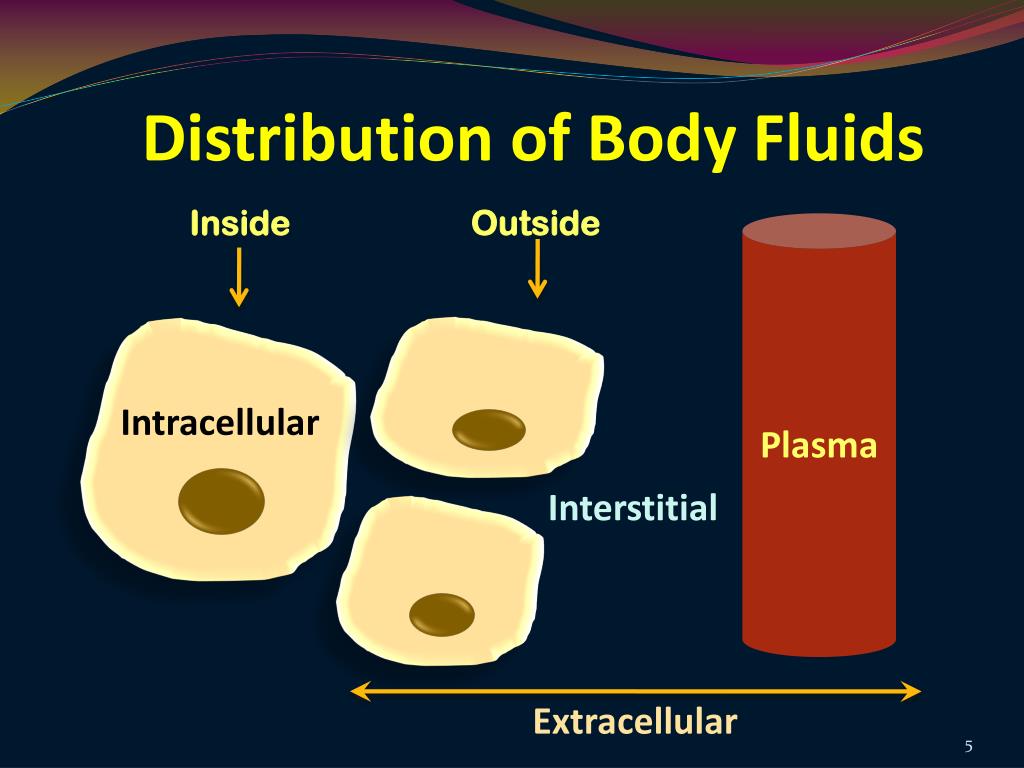 Review intracellular extracellular body fluid compartments magsilope