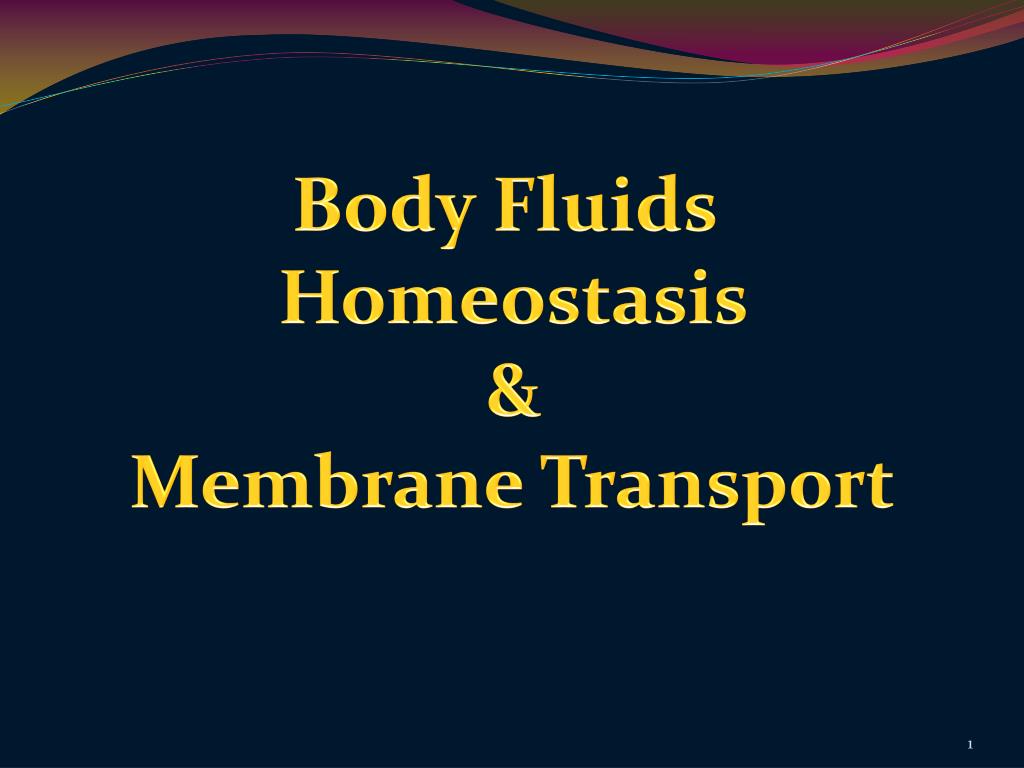 PPT Body Fluids Homeostasis & Membrane Transport PowerPoint