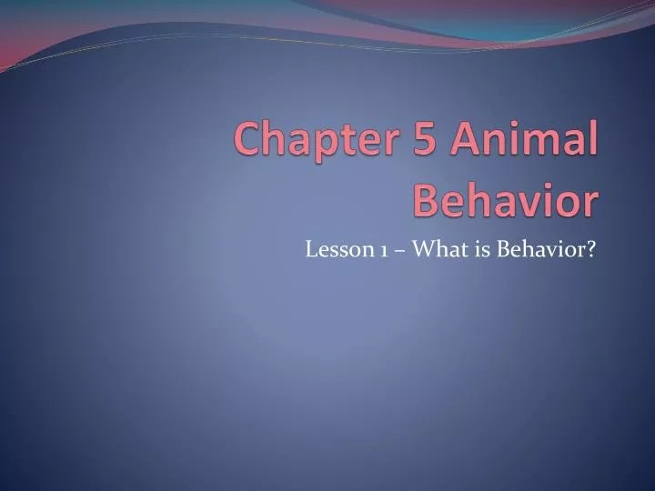 Animal Behavior Case Study Answer Key • Suggested and Clear Explanation of Quizlet and Answer