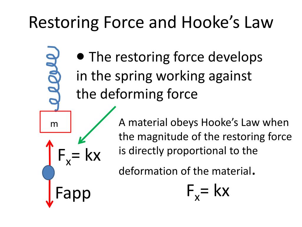 PPT Elastic Potential Energy & Hooke’s Law PowerPoint Presentation