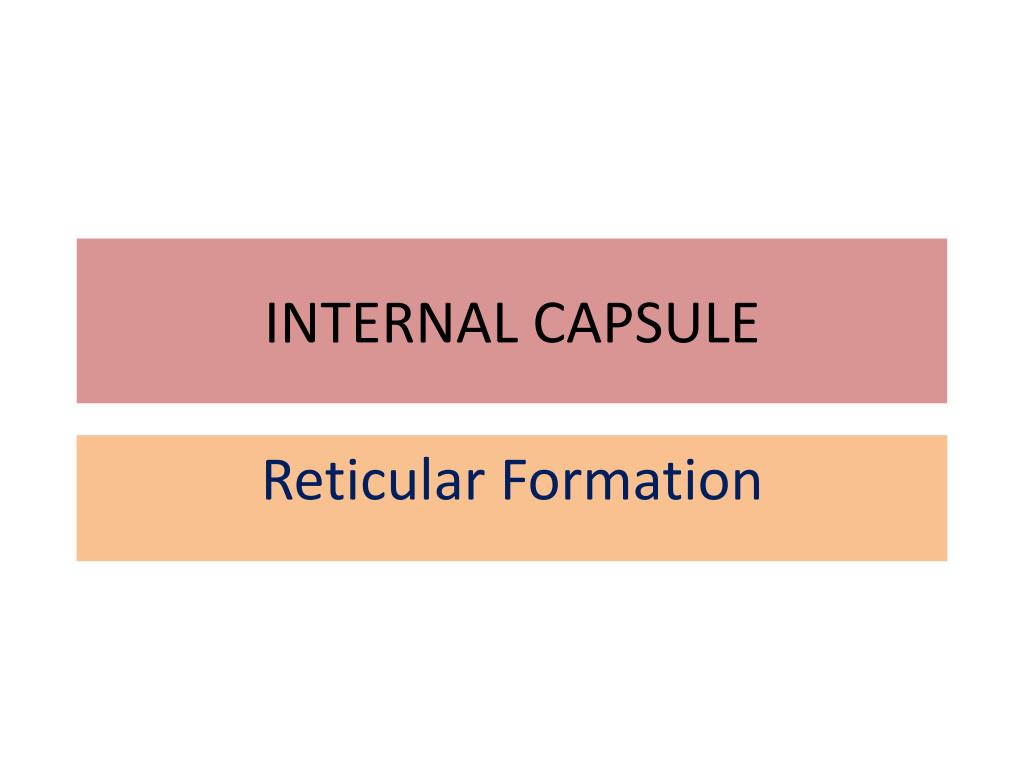 PPT INTERNAL CAPSULE PowerPoint Presentation, free download ID3065666